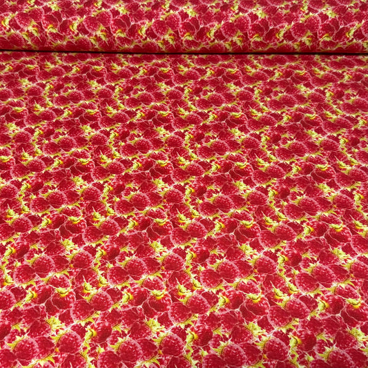 Sweet Raspberry Patch Print Fabric – 100% Cotton | 45” Wide